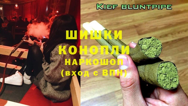 МДПВ Гусев